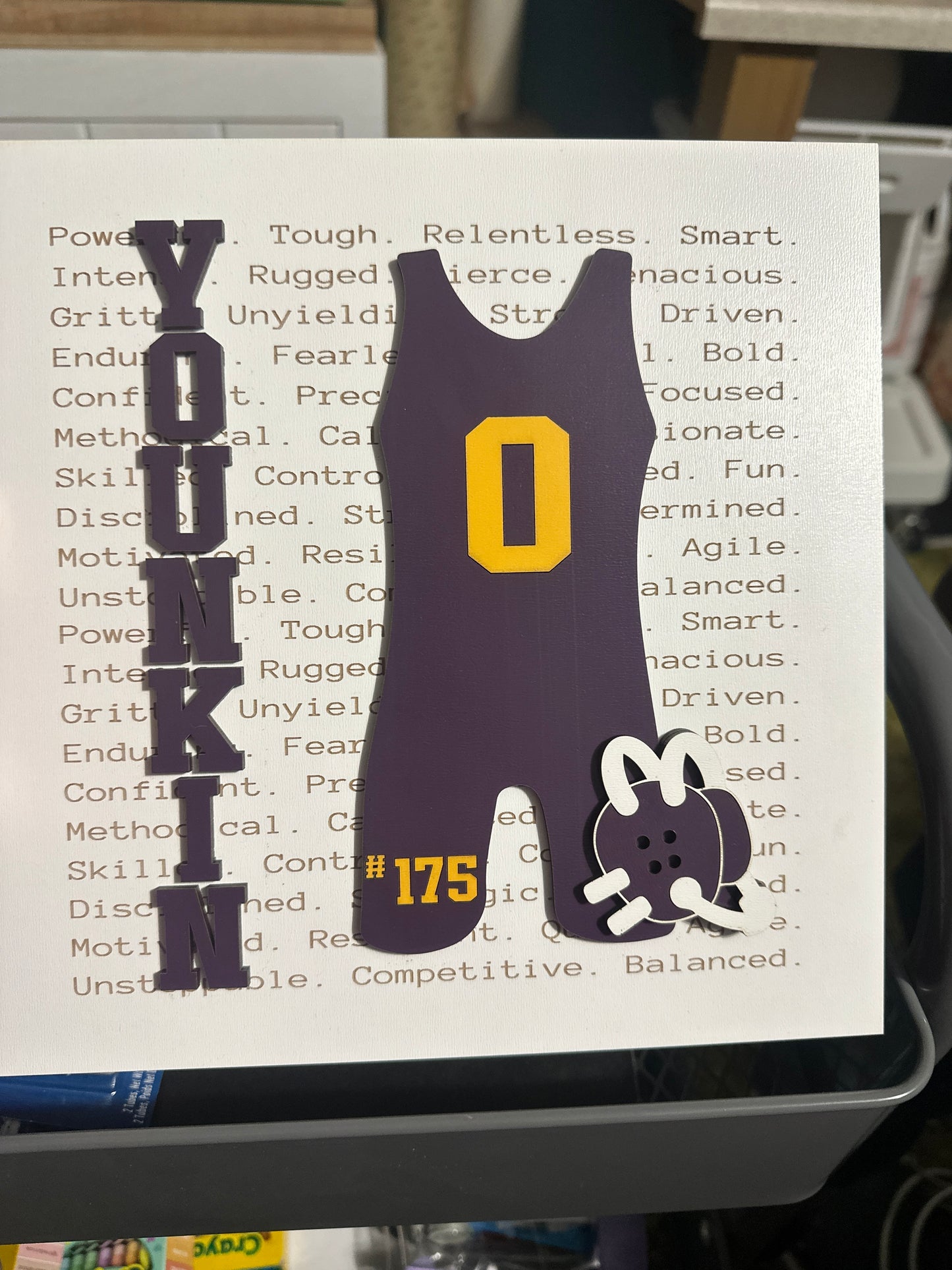 Senior Night plaques, gift